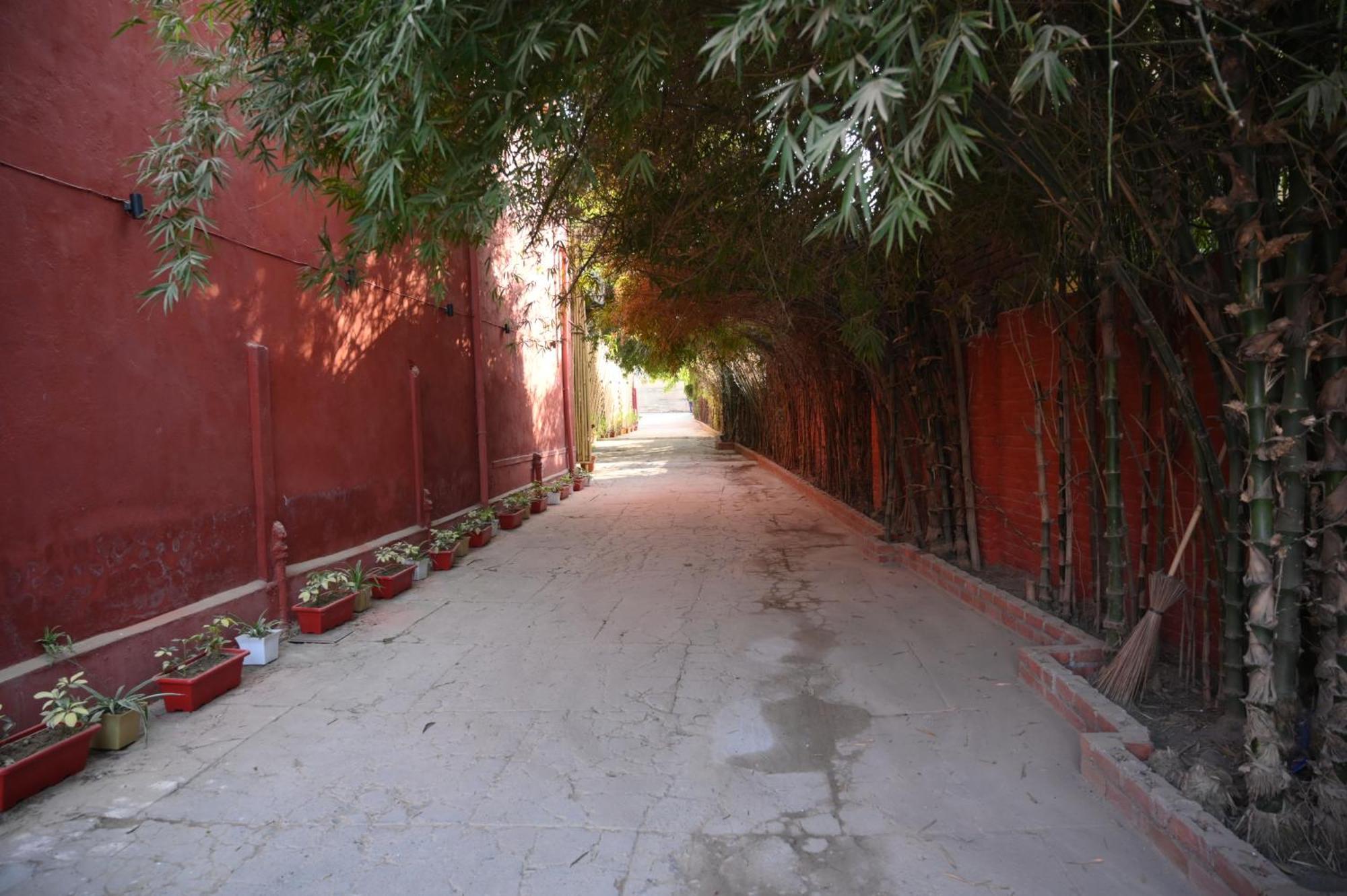 Raja Ka Bagh - A Boutique Hotel Nurpur Eksteriør billede